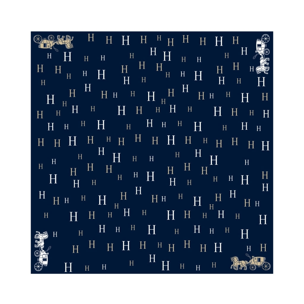 Endless Bandanas Bandanas Marine / hvit