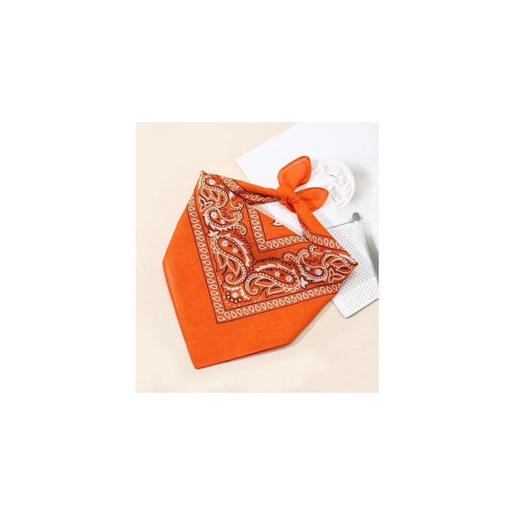 Endless Bandanas Bandanas orange